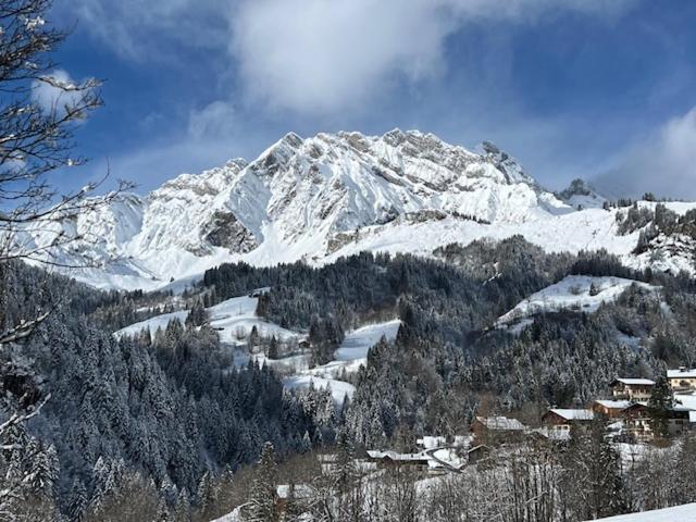 La Coufa, Spacieux Duplex En Chalet, Terrasse, Jardin, Vues Montagnes La Giettaz Eksteriør billede